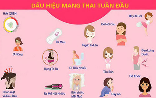 Dấu Hiệu Có Thai Là Như Thế Nào?
