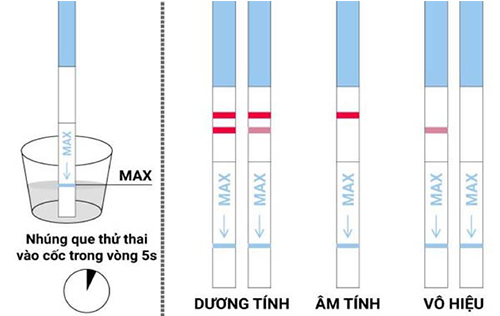 Que Thử Thai Mọi Thông Tin Chị Em Cần Biết