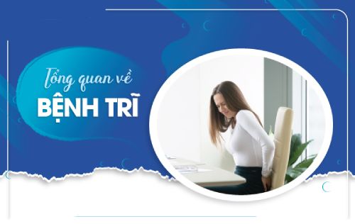 Tổng Quan Về Bệnh Trĩ - Những Thông Tin Bạn Không Nên Bỏ Lỡ