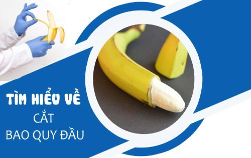 {Góc Tư Vấn}: Nam Giới Nên Hay Không Nên Cắt Bao Quy Đầu?